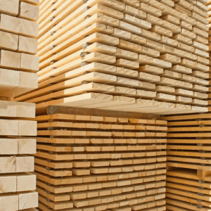 Premium Birch Wood Lumber/Birch Timber