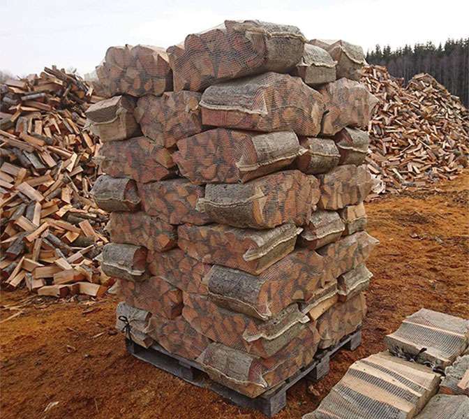 Dried Firewoods - Image 3