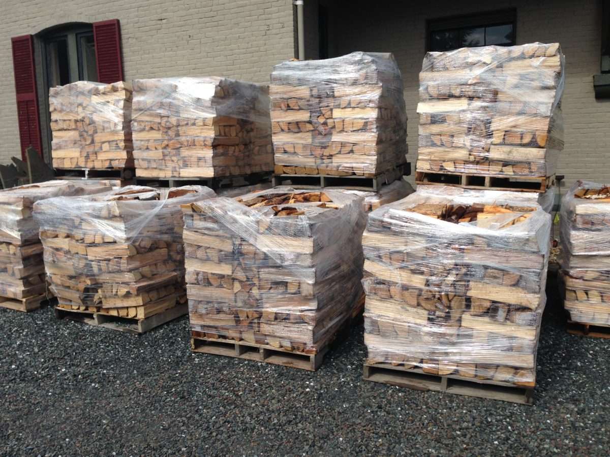 Dried Firewoods - Image 6