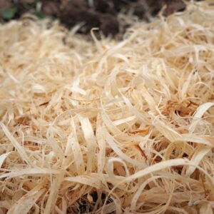 Wood Shavings