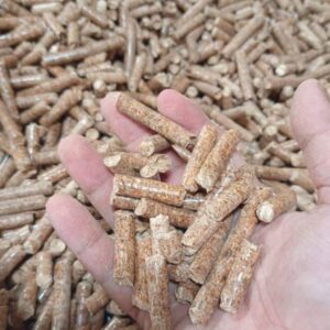 Premium Wood Pellets (ENplus A1)
